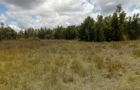 Land for sale in karen