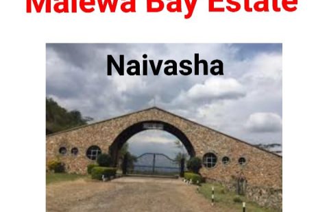 2 PLOTS ON SALE AT MALEWA BAY NAIVASHA