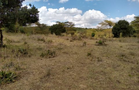 60 Acres for sale in lachuta mweiga nyeri