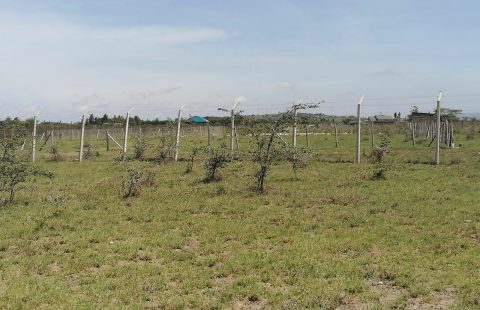 Plot for sale in kitengela