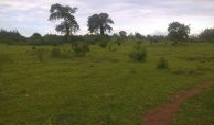 63 Acres for sale at Kikambala