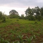 63 Acres for sale at Kikambala