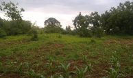 63 Acres for sale at Kikambala