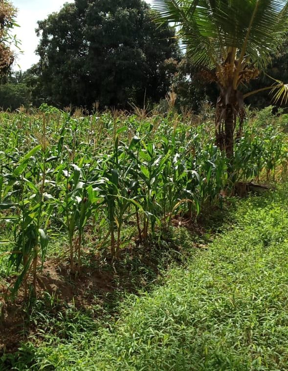 10 Acres for sale in Mtwapa
