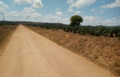 100 ACRES FOR AT VIPINGO RIDGE