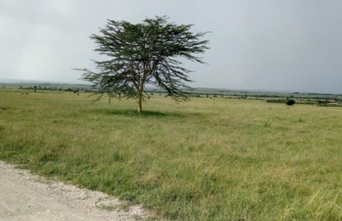 8 ACRES FOR SALE AT KISAJU