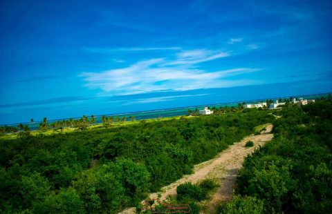 1 ACRE BEACH PLOT IN WATAMU NEAR JACARANDA