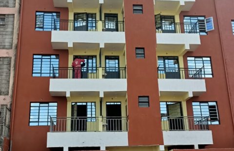 2 APARTMENTS FOR SALE AT RUIRU KIMBO