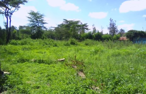 0.25 ACRES FOR SALE IN RUAI