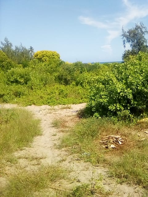50 ACRES BEACH PLOT FOR SALE IN BOFA - KILIFI COUNTY