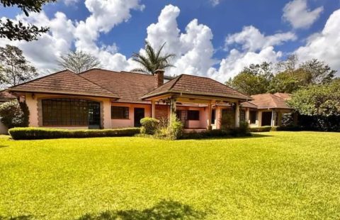 4 BEDROOM RUSTIC BUNGALOW FOR SALE