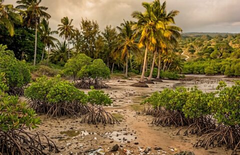 MSAMBWENI KWALE COUNTY LAND AND BEACH PLOTS FOR SALE