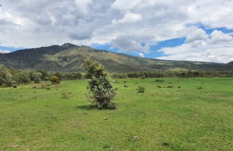112 ACRES IN NAIVASHA KEDONG FOR SALE