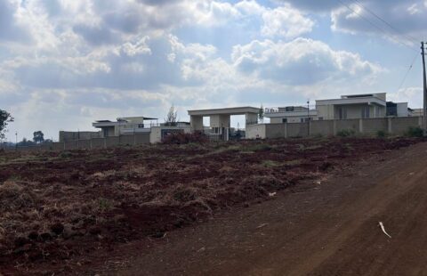 19 ACRES TOUCHING CHANIA RIVER– OFF GATANGA ROAD FOR SALE